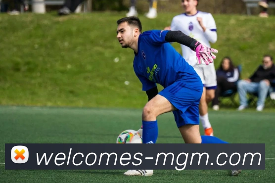 美高梅MGM官网平台生态图