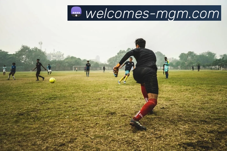 美高梅MGM官网APP 封面图